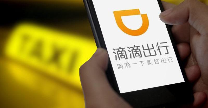 理念,鲸
