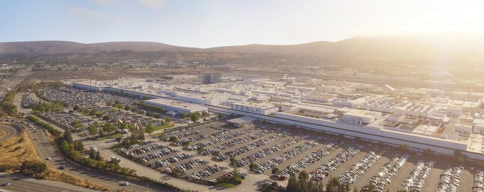 特斯拉,Model Y,Model 3