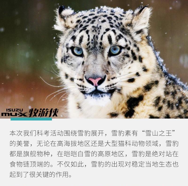 神州,五十铃