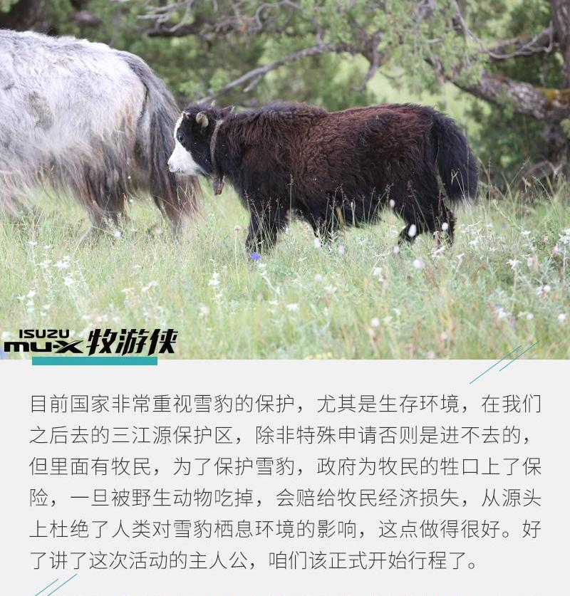 神州,五十铃
