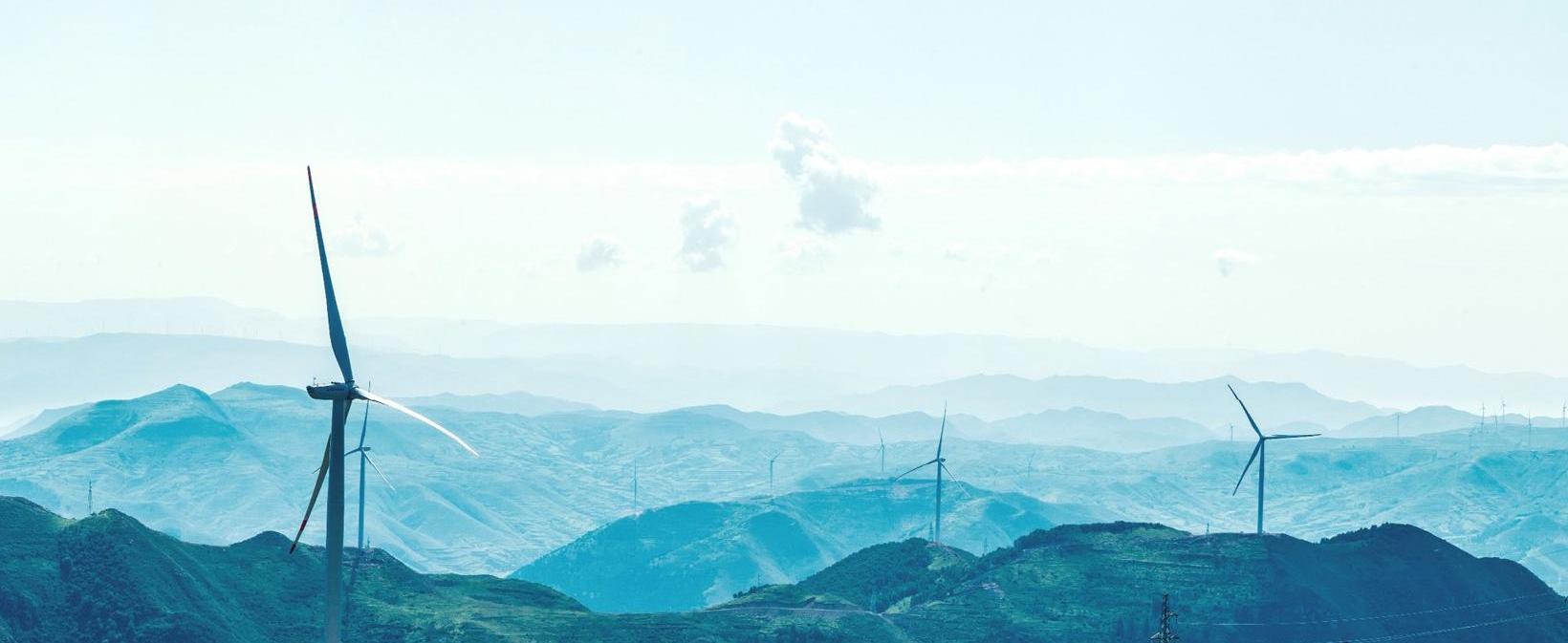 标致,大众,日产