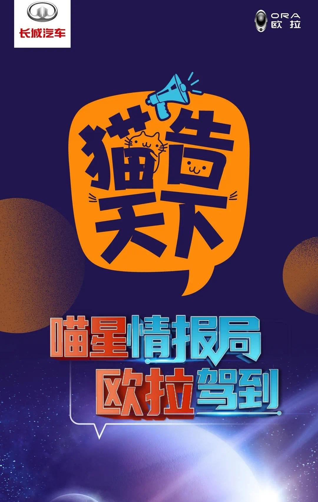 欧拉,欧拉好猫,欧拉白猫,北京,发现