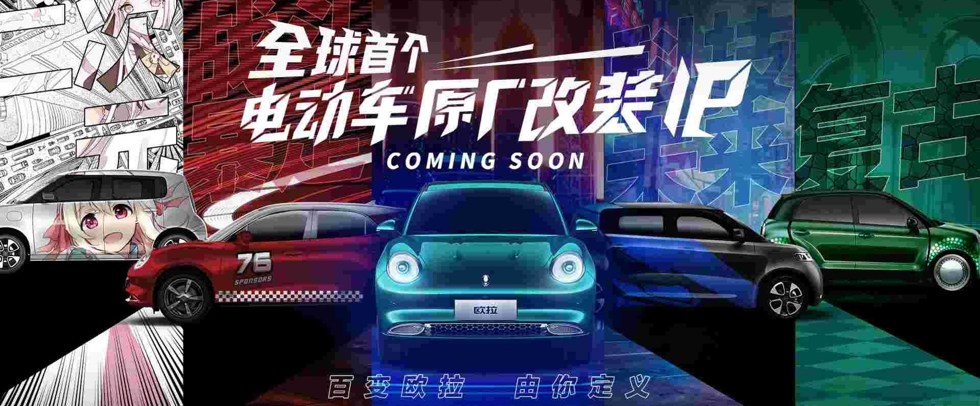 欧拉,欧拉好猫,欧拉白猫,北京,发现