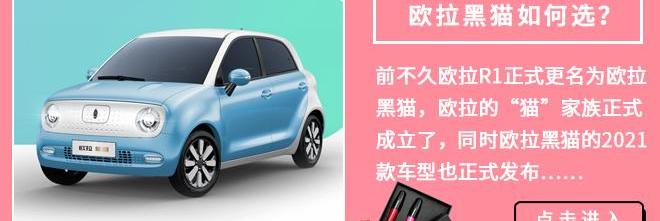 保时捷,Taycan,哈弗,哈弗大狗,蔚来
