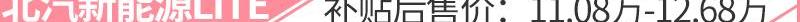 保时捷,Taycan,哈弗,哈弗大狗,蔚来