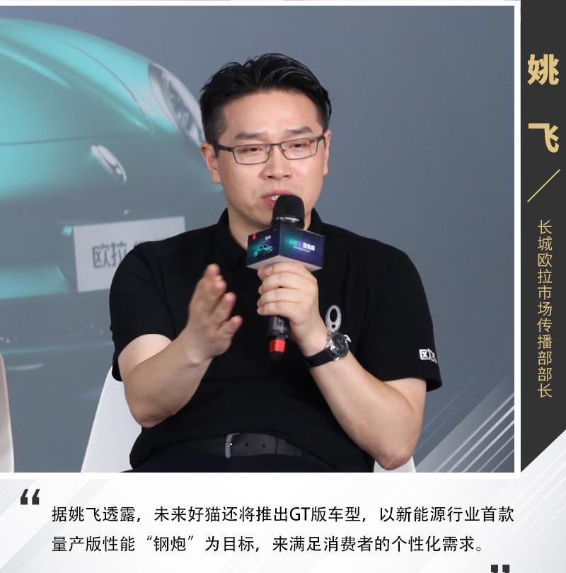 欧拉,欧拉好猫,发现,长城,理念