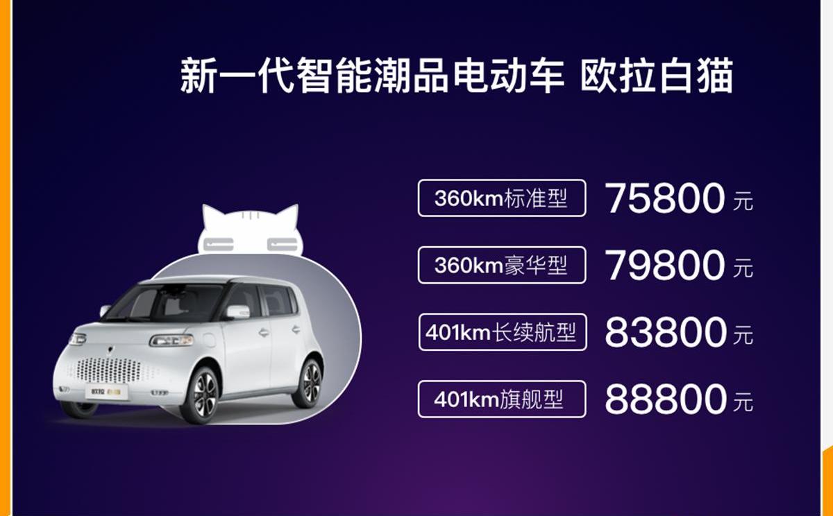欧拉,欧拉黑猫,理念,发现,欧拉白猫