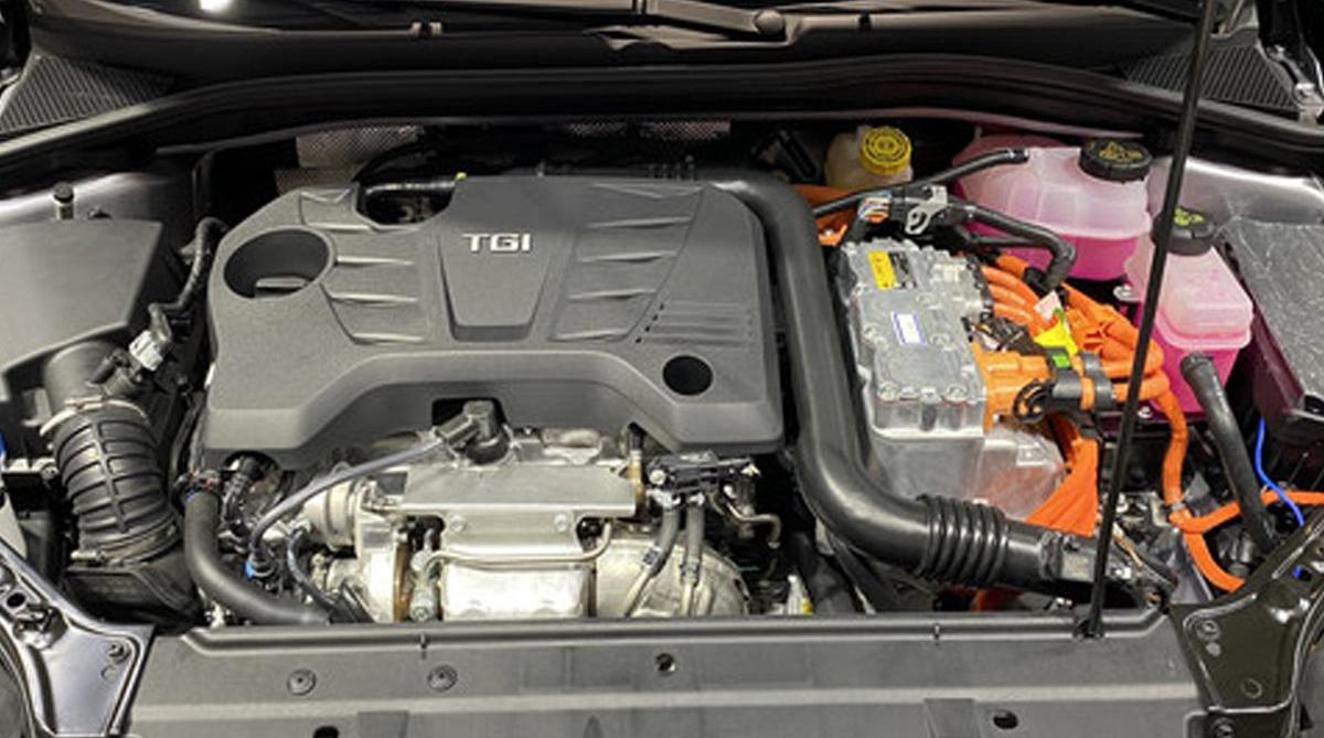 名爵,名爵6 PHEV,名爵6,斑马