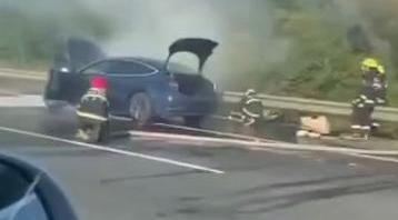 Model 3,特斯拉