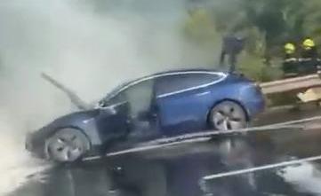 Model 3,特斯拉