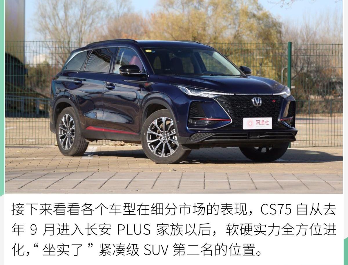 长安,鲸
