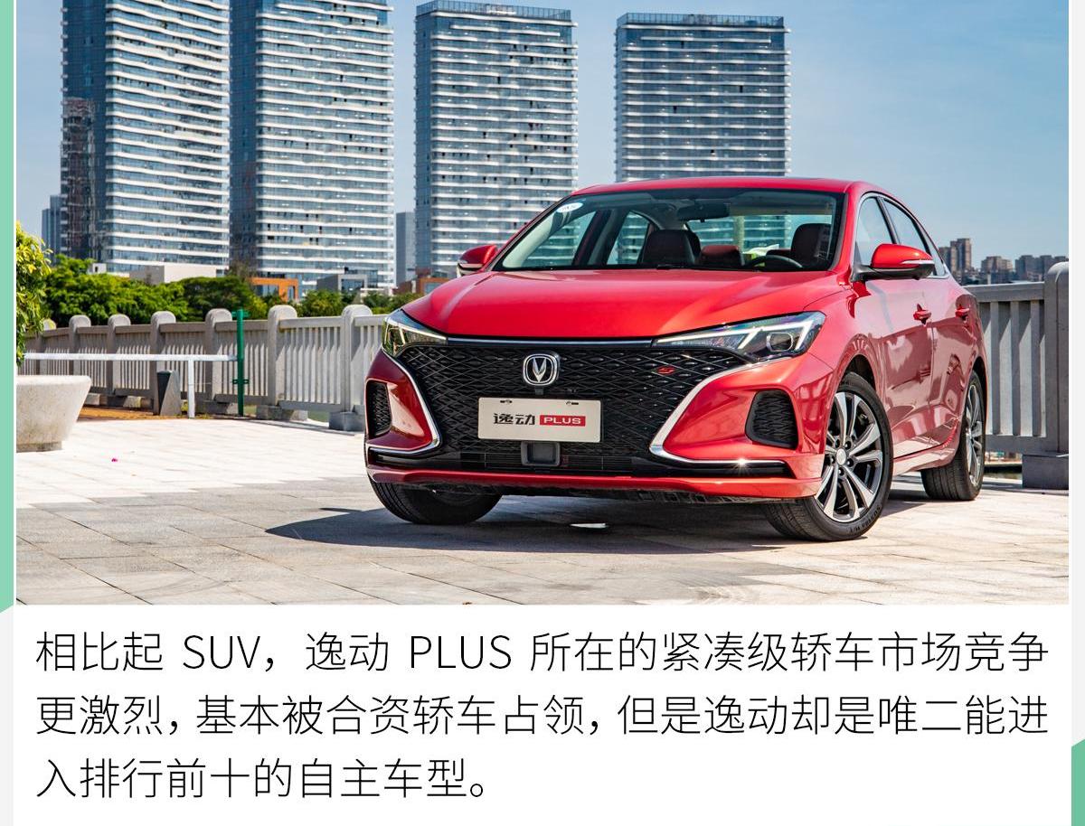 长安,鲸