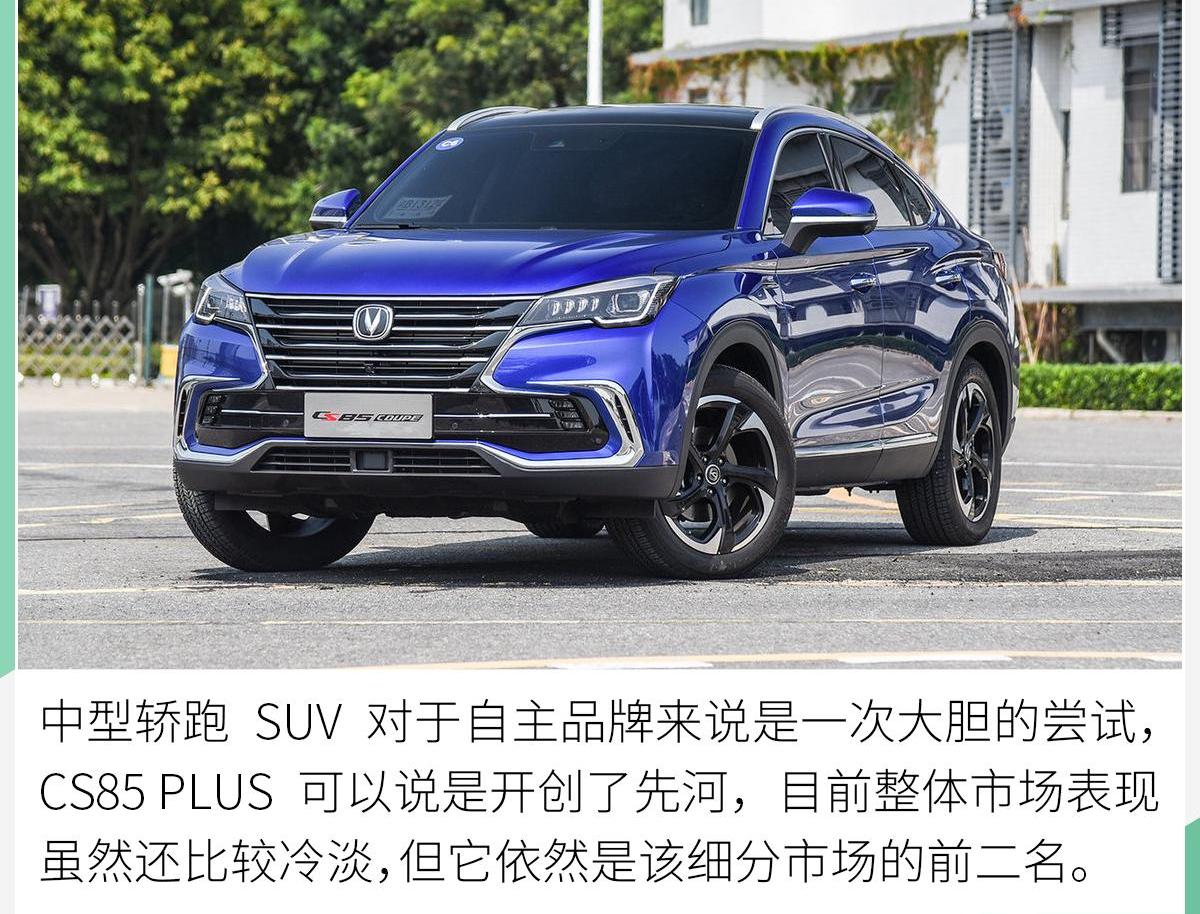 长安,鲸