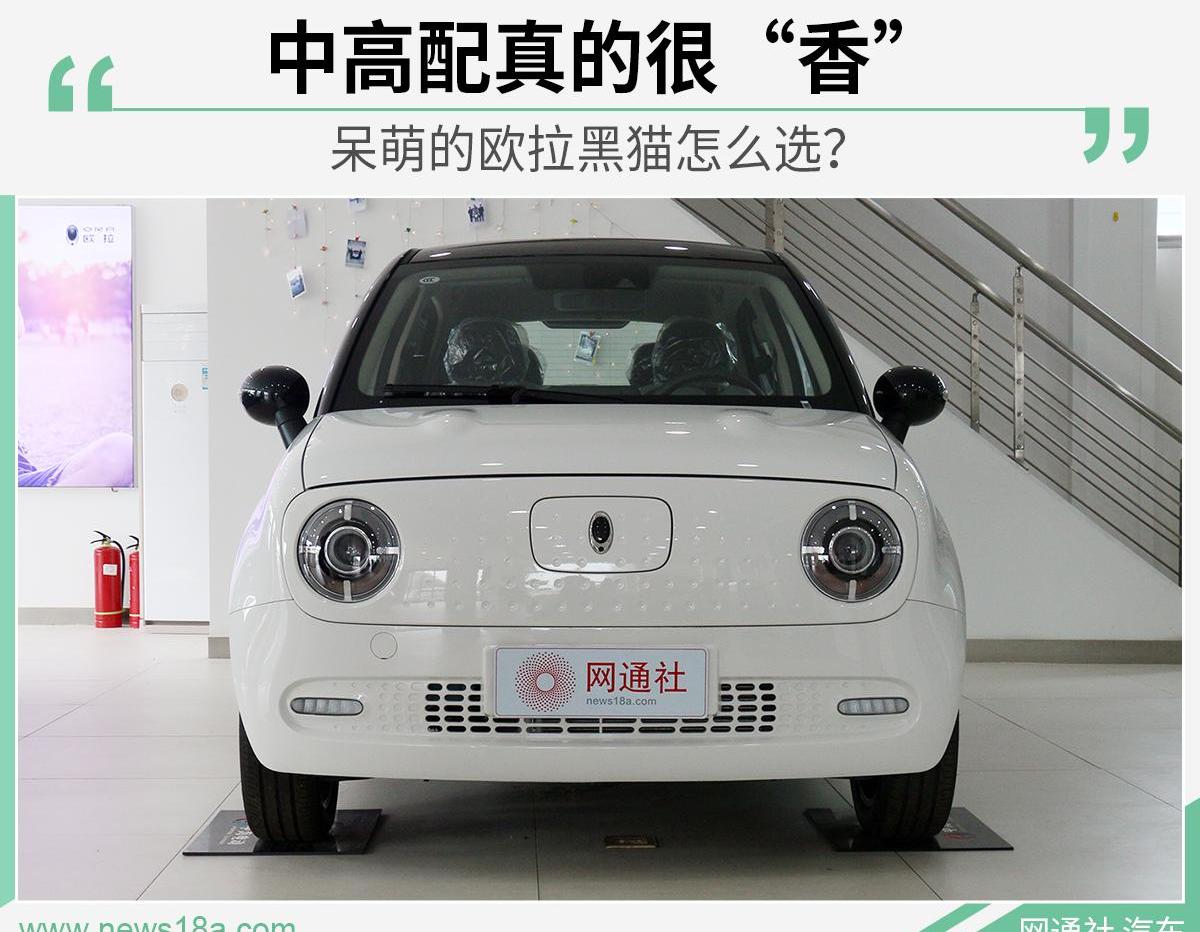 欧拉,欧拉黑猫,大众,远程