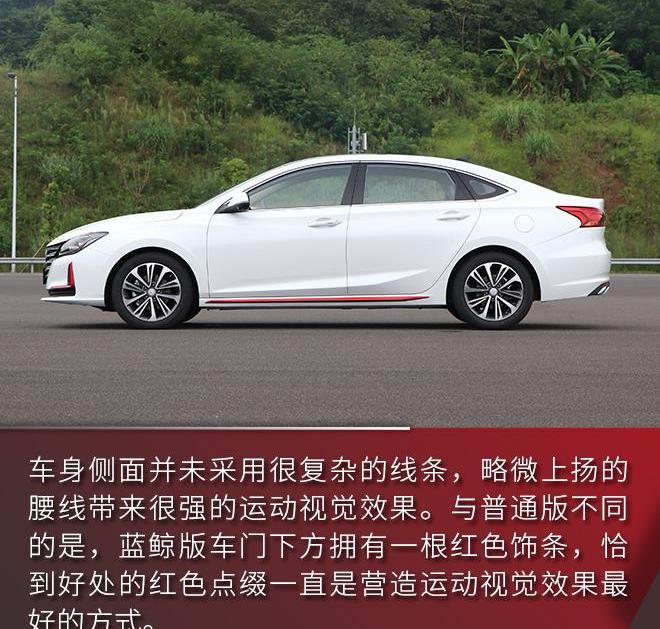 鲸,锐程CC,长安,发现