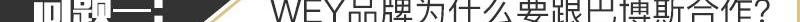 长城,北京,哈弗,发现,坦克