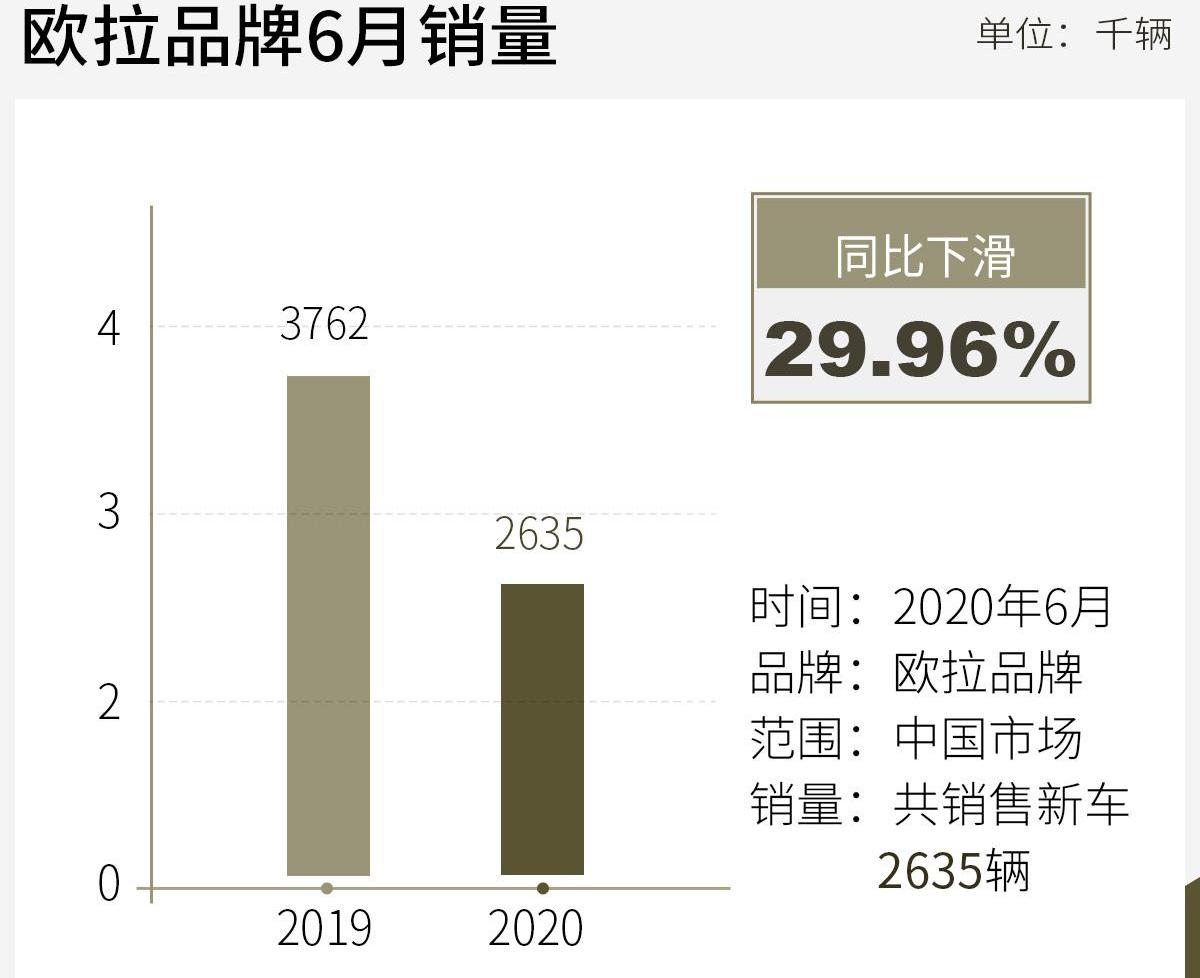 欧拉,欧拉好猫,欧拉白猫,欧拉黑猫
