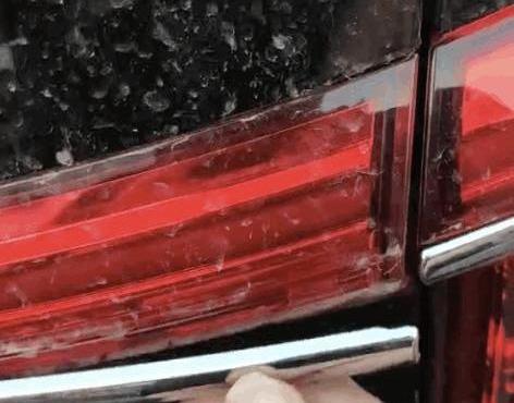 红旗,红旗H9,奥迪A6L,奥迪,奥迪A6