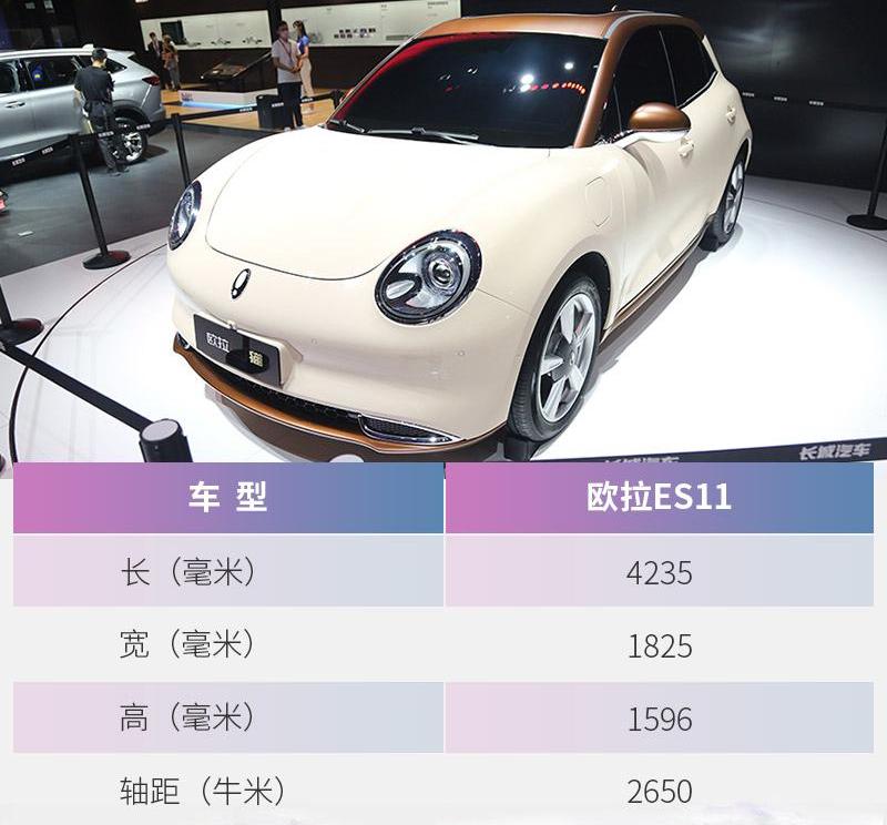 欧拉,欧拉好猫,欧拉白猫