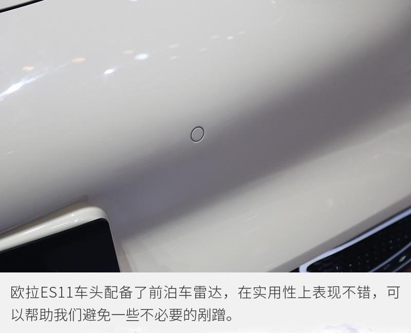 欧拉,欧拉好猫,欧拉白猫