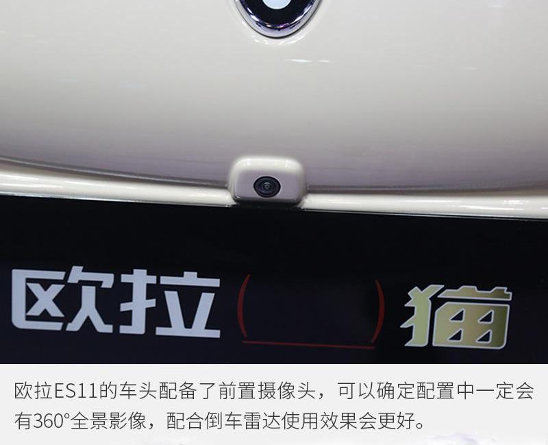 欧拉,欧拉好猫,欧拉白猫