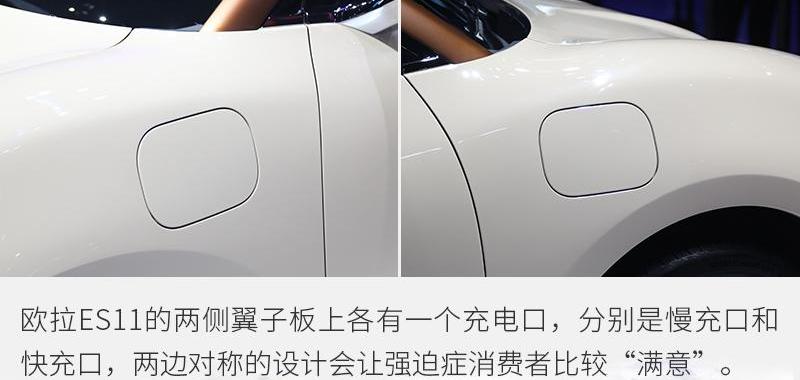欧拉,欧拉好猫,欧拉白猫
