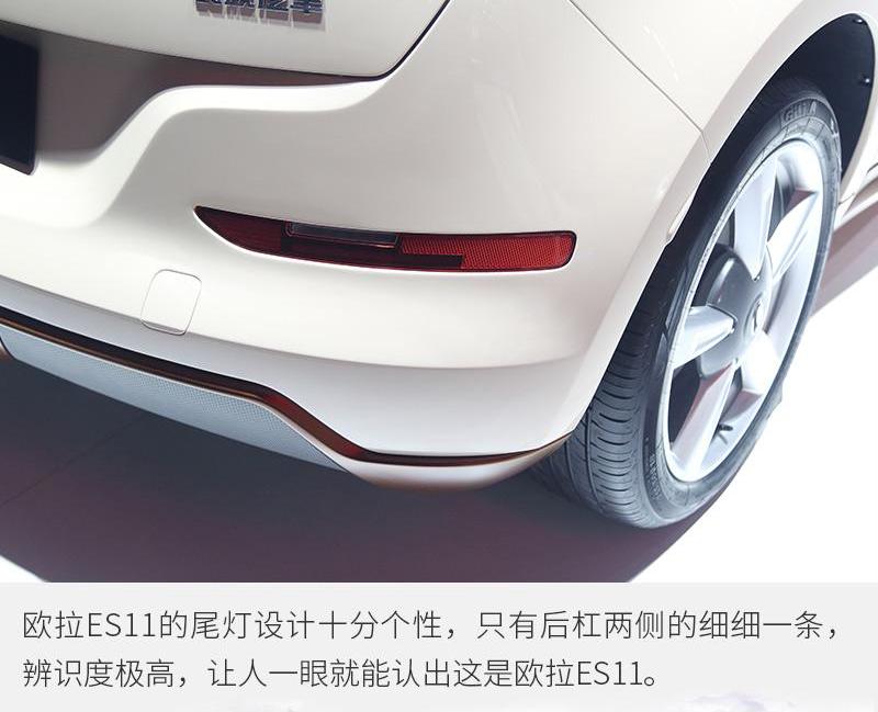 欧拉,欧拉好猫,欧拉白猫