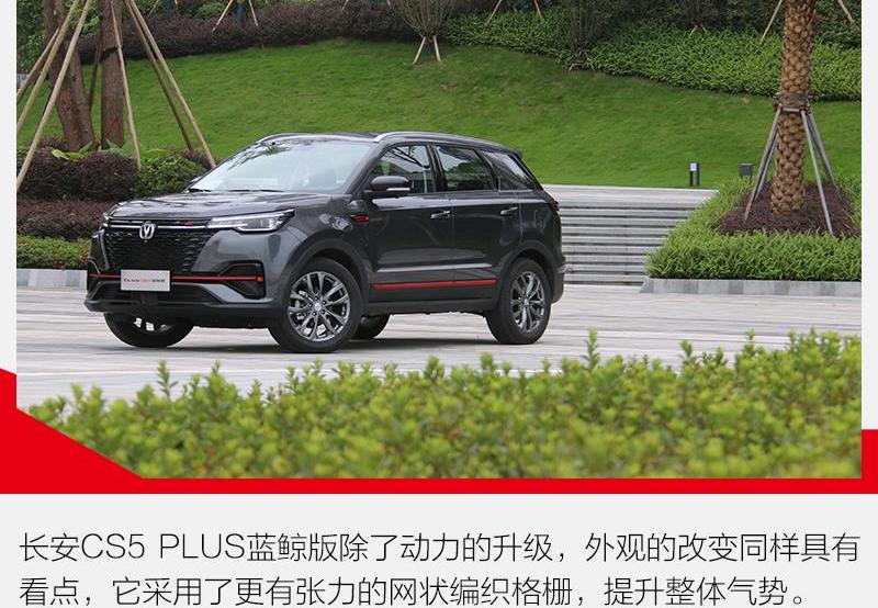长安,鲸