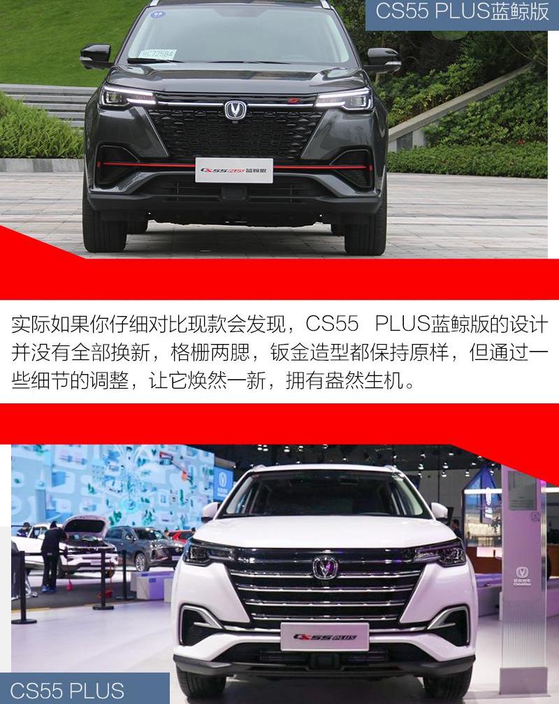 长安,鲸