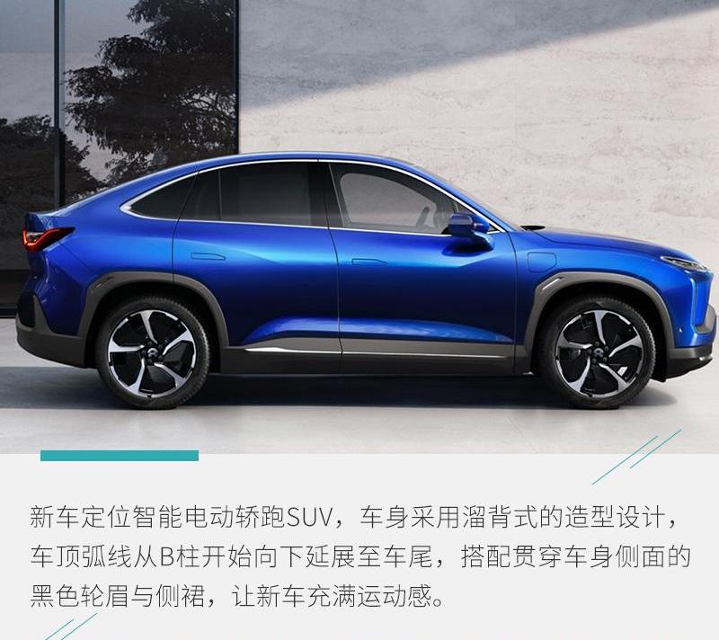 比亚迪,标致,东风,MINI,欧拉