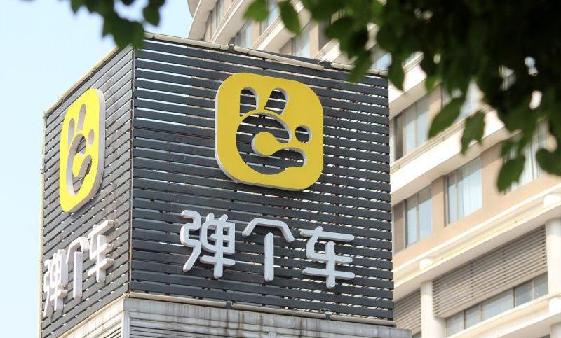 鲸,北京,发现