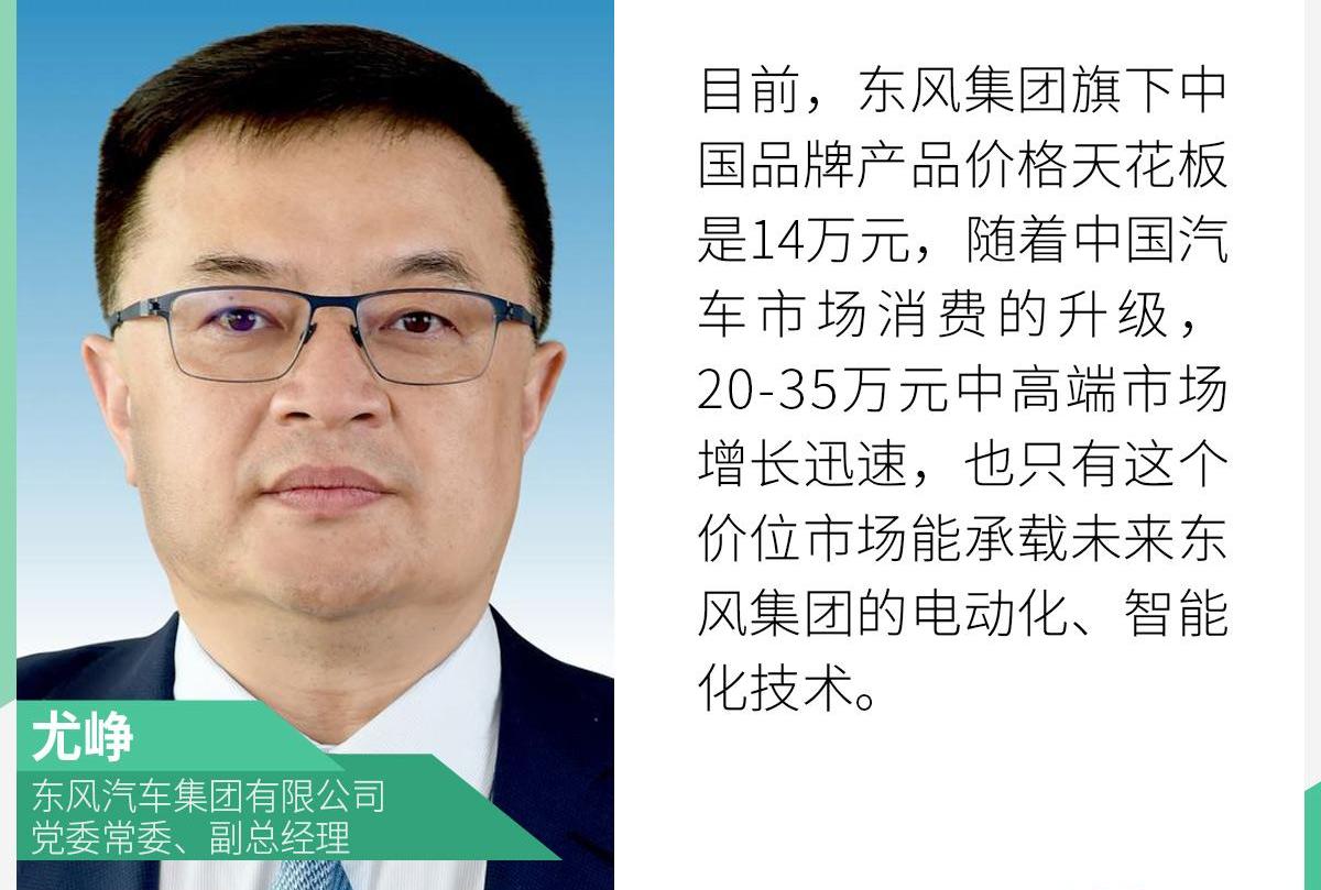 东风,岚图汽车,奥迪,宝马,大众