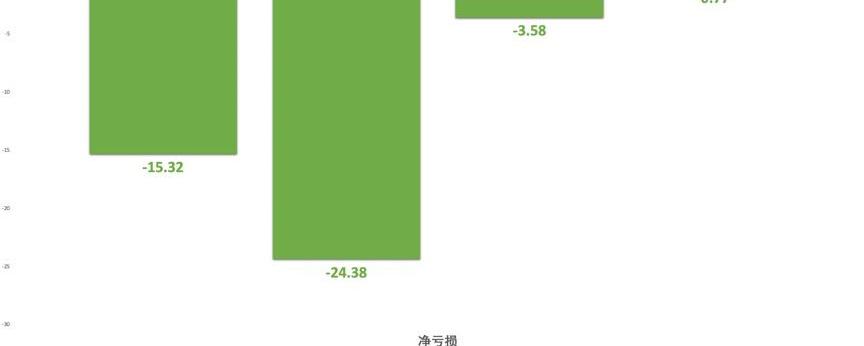 理想汽车,蔚来,小鹏,特斯拉,比亚迪