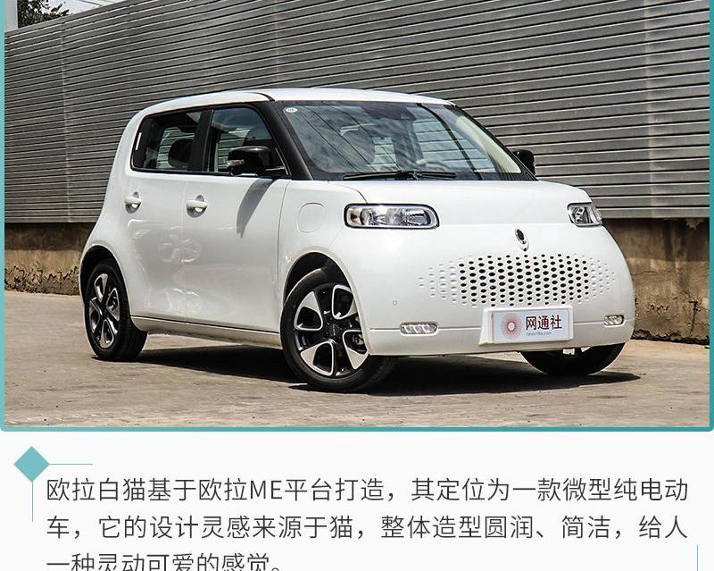 欧拉,欧拉白猫,长城