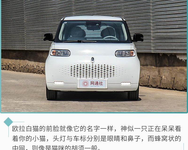 欧拉,欧拉白猫,长城