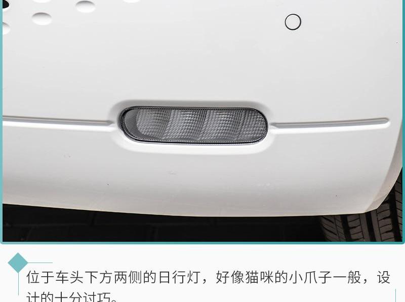 欧拉,欧拉白猫,长城