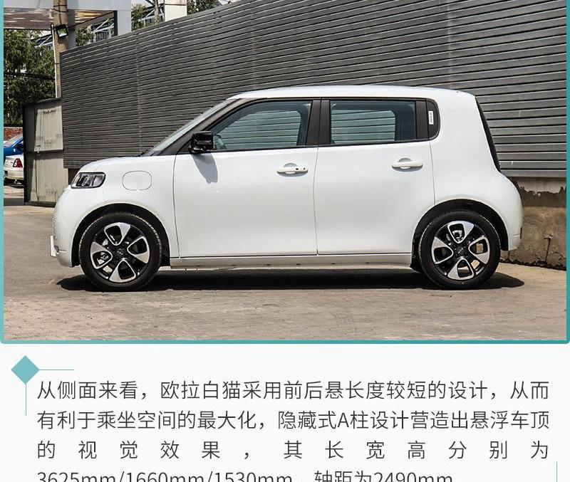 欧拉,欧拉白猫,长城