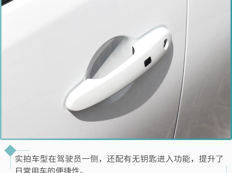欧拉,欧拉白猫,长城