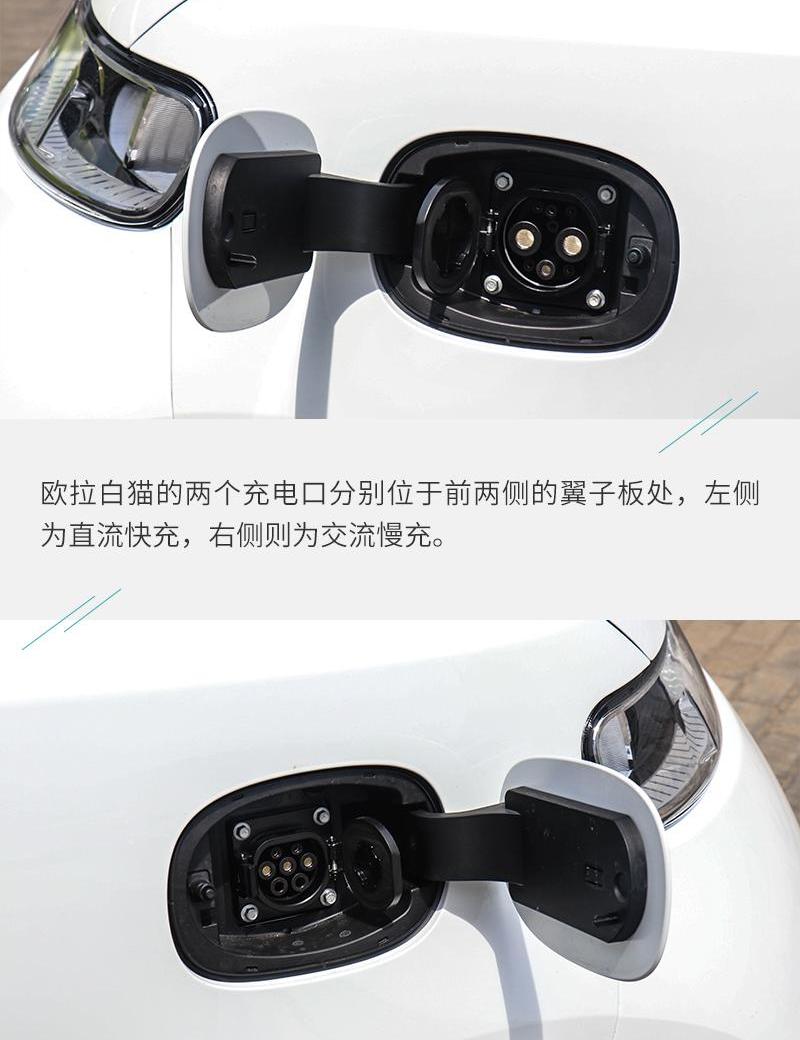 欧拉,欧拉白猫,长城