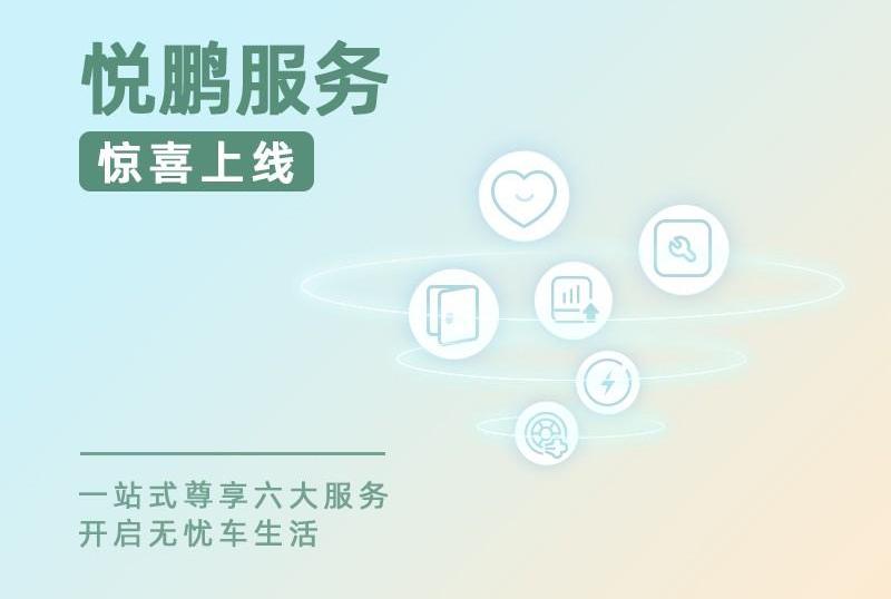 小鹏,远程
