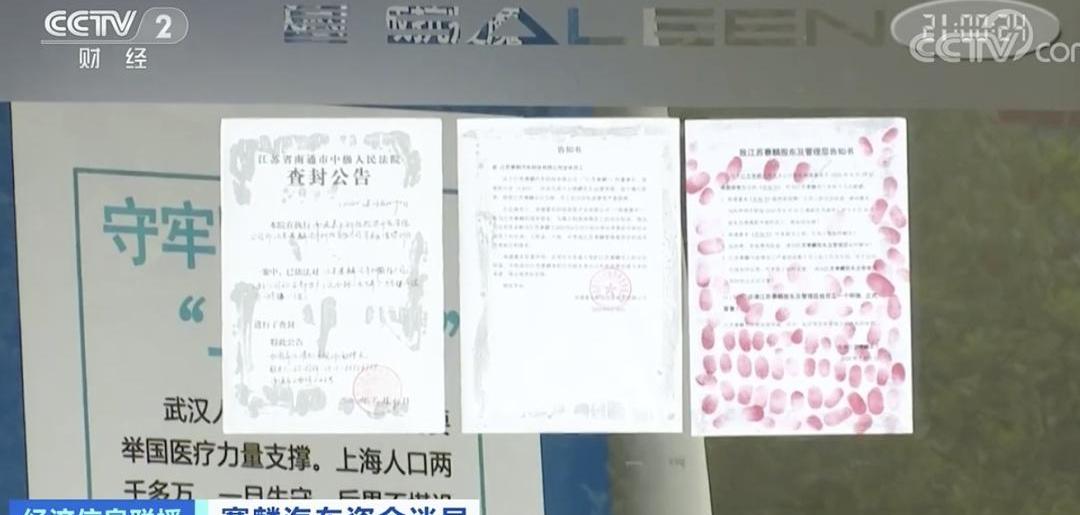 小跑车,理想汽车,蔚来,小鹏