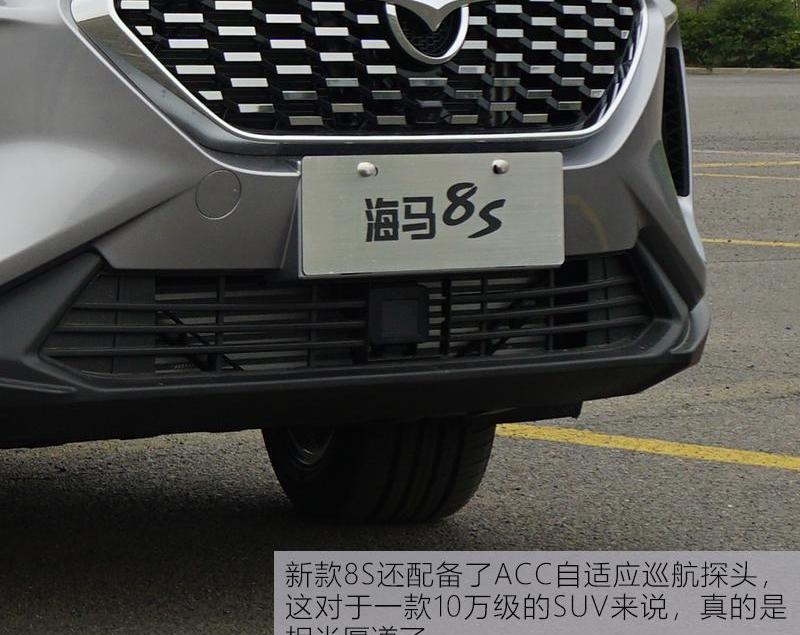 海马