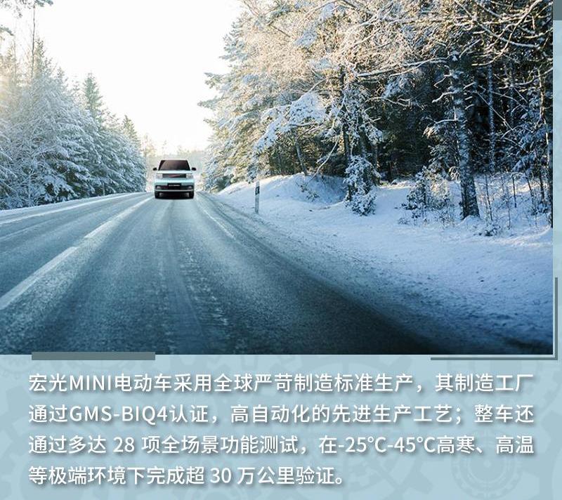 MINI,远程