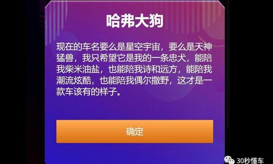 哈弗,哈弗大狗,长城,御风,哈弗H6