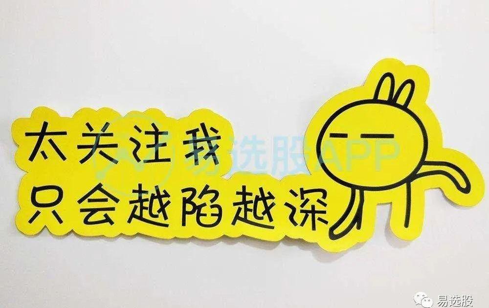 特斯拉,比亚迪,海鸥