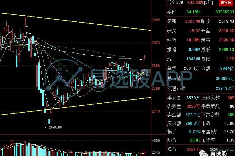 特斯拉,比亚迪,海鸥