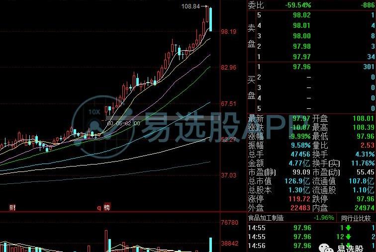 特斯拉,比亚迪,海鸥