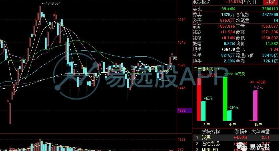 特斯拉,比亚迪,海鸥