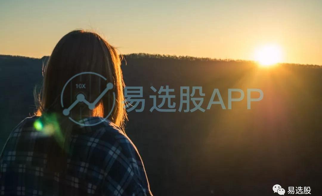特斯拉,比亚迪,海鸥