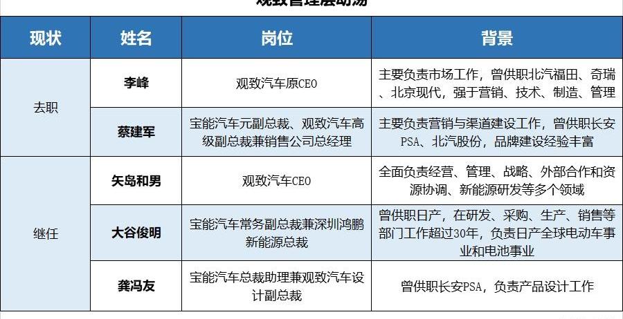 长安,DS,奇瑞,蔚来,比亚迪